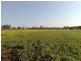 Lot 33 Earl Street, Jondaryan QLD 4403