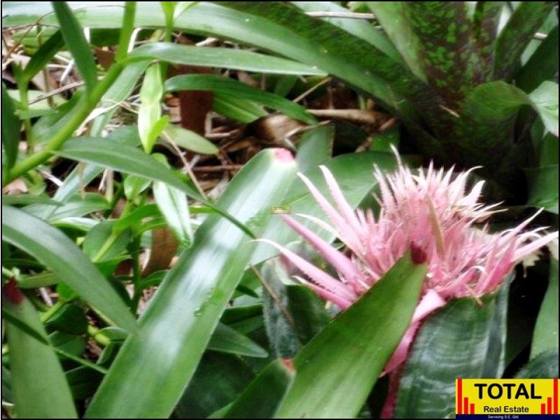 7 Janmarie Court, Kallangur QLD 4503