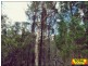 Lot 42 Box Drive, Millmerran QLD 4357