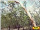 Lot 42 Box Drive, Millmerran QLD 4357