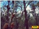 Lot 42 Box Drive, Millmerran QLD 4357