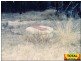 Millmerran QLD 4357