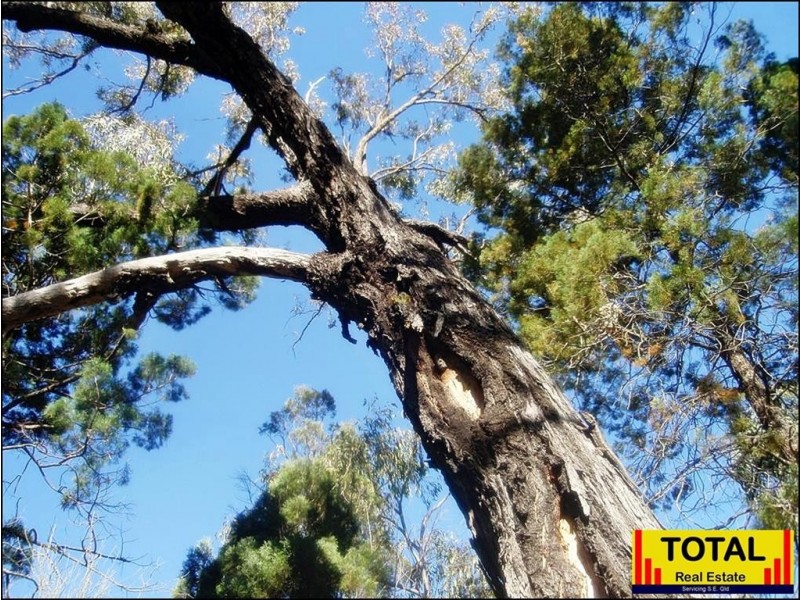 12 Paddys Creek Road, Millmerran QLD 4357