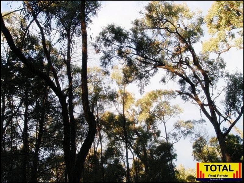 Lot 9 Pine Ridge Road, Millmerran QLD 4357