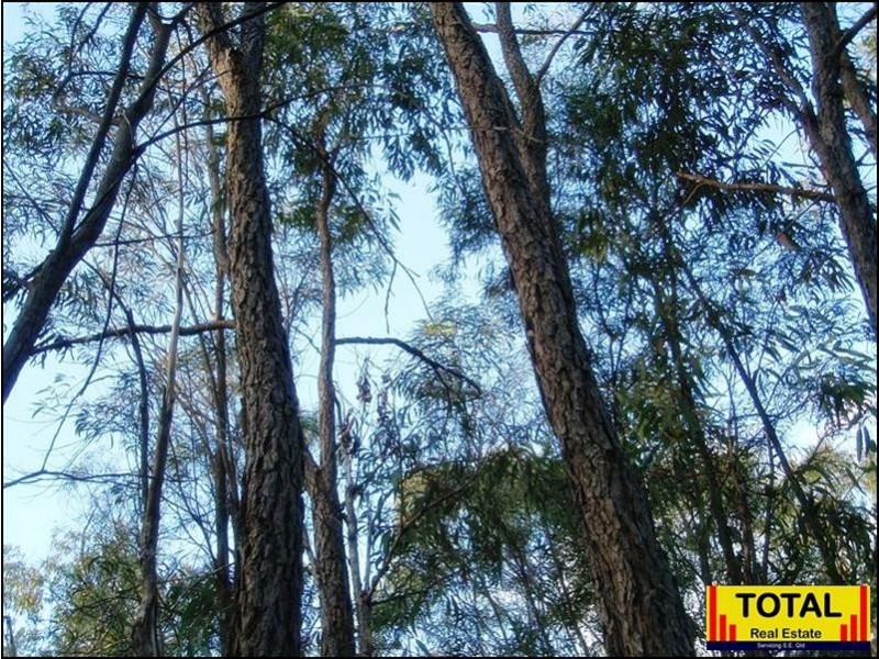 Lot 9 Pine Ridge Road, Millmerran QLD 4357