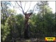 Lot 43 Pine Road, Millmerran QLD 4357