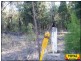 Lot 43 Pine Road, Millmerran QLD 4357