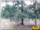 Lot 43 Pine Road, Millmerran QLD 4357