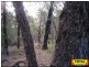 Lot 43 Pine Road, Millmerran QLD 4357
