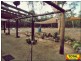 Lot 44 Wallaby, Millmerran QLD 4357