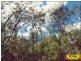 Lot 42 Box Drive, Millmerran Downs QLD 4357