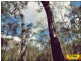Lot 42 Box Drive, Millmerran Downs QLD 4357