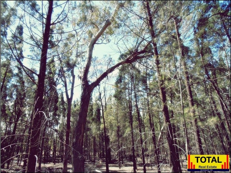 Lot 4 Ayers Rock Rd, Cypress Gardens QLD 4357