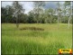 Lot 91 Arborfour Road, Glenwood QLD 4570