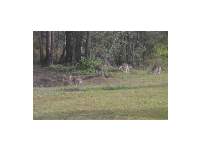Lot 809 Arborthirtyone road, Glenwood QLD 4570