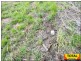 Lot 14 Green Drive, Gunalda QLD 4570