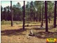 Lot 660 Arbortwentyfour Road, Glenwood QLD 4570