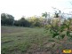 Lot 119 Trotter Road, Glenwood QLD 4570