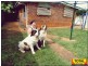 1218 Anzac Ave, Kallangur QLD 4503