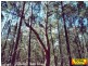 Lot 4 Ayers Rock Rd, Cypress Gardens QLD 4357