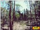 Lot 4 Ayers Rock Rd, Cypress Gardens QLD 4357