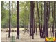 Cypress Gardens QLD 4357
