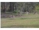 Glenwood QLD 4570