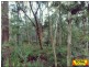 30 Imhoff Road, Glenwood QLD 4570