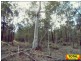 Lot 42 Box Drive, Millmerran QLD 4357