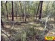 Lot 42 Box Drive, Millmerran QLD 4357