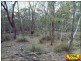 Lot 42 Box Drive, Millmerran QLD 4357