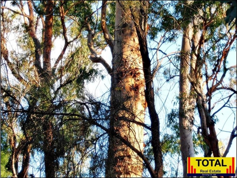 Lot 15 Gore Highway, Millmerran QLD 4357