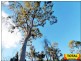 Lot 15 Gore Highway, Millmerran QLD 4357