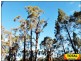 Lot 15 Gore Highway, Millmerran QLD 4357