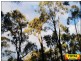 Lot 9 Pine Ridge Road, Millmerran QLD 4357