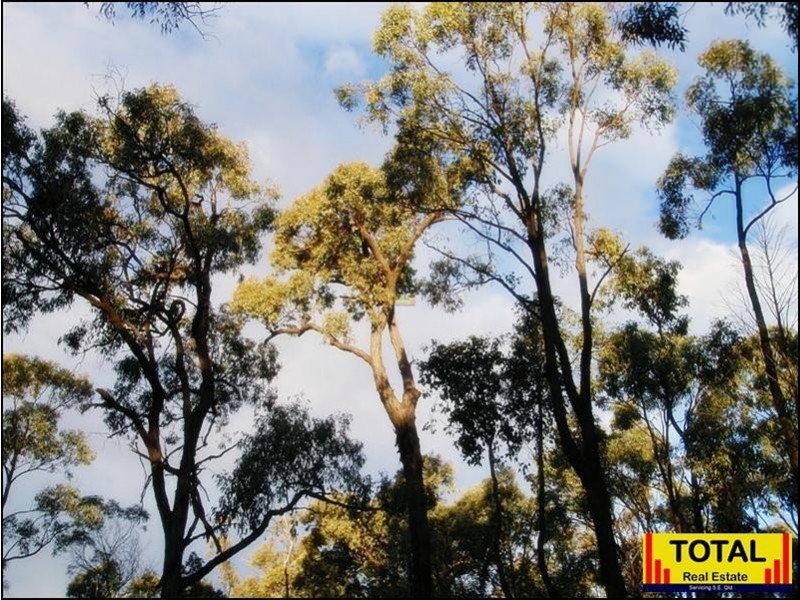 Lot 9 Pine Ridge Road, Millmerran QLD 4357