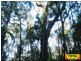 Lot 9 Pine Ridge Road, Millmerran QLD 4357