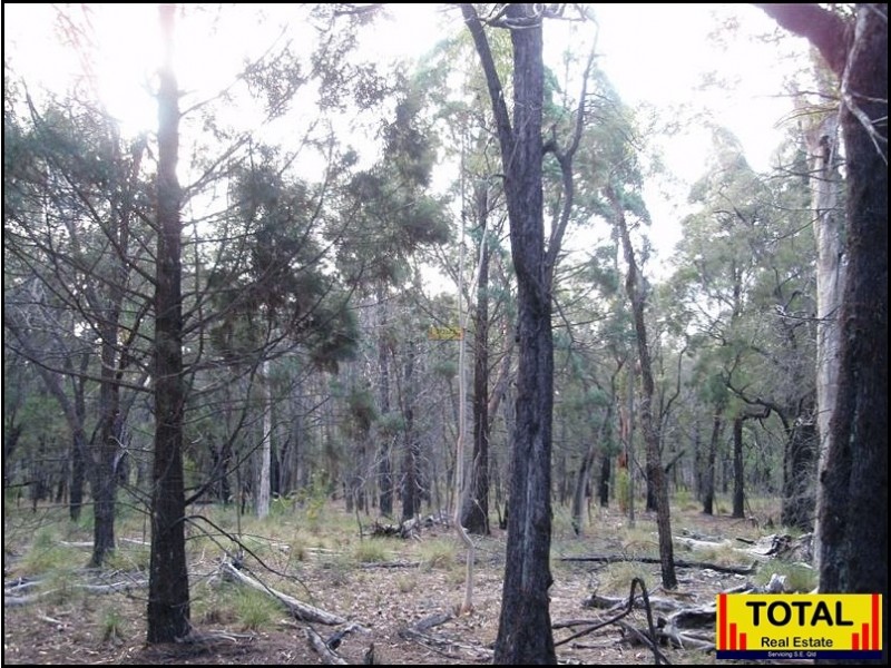 Lot 43 Pine Road, Millmerran QLD 4357