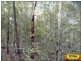 Lot 42 Box Drive, Millmerran Downs QLD 4357
