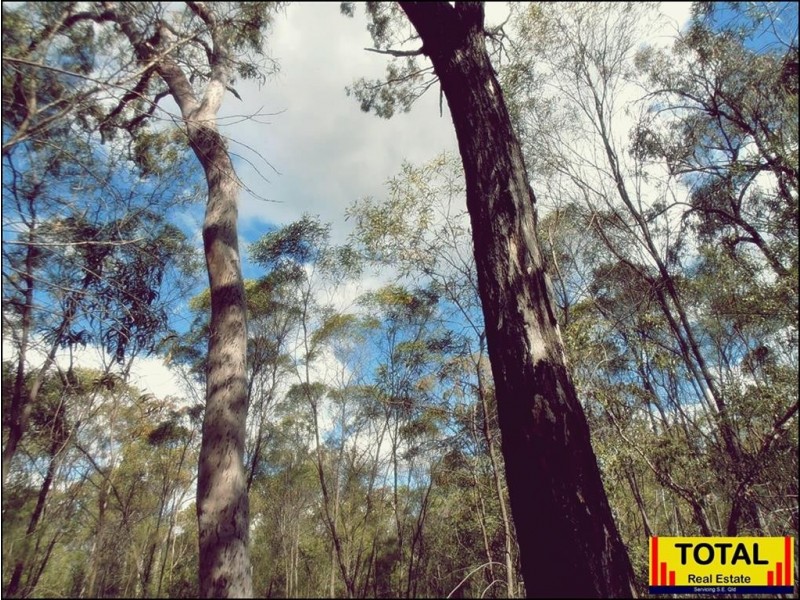 Lot 42 Box Drive, Millmerran Downs QLD 4357