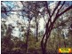 Lot 42 Box Drive, Millmerran Downs QLD 4357