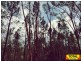 193 Waratah Dve, Millmerran Downs QLD 4357
