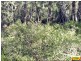 15 Belar, Millmerran Woods QLD 4357