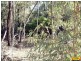 15 Belar, Millmerran Woods QLD 4357