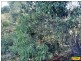 15 Belar, Millmerran Woods QLD 4357