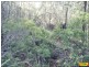 15 Belar, Millmerran Woods QLD 4357