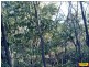 15 Belar, Millmerran Woods QLD 4357