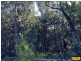 15 Belar, Millmerran Woods QLD 4357