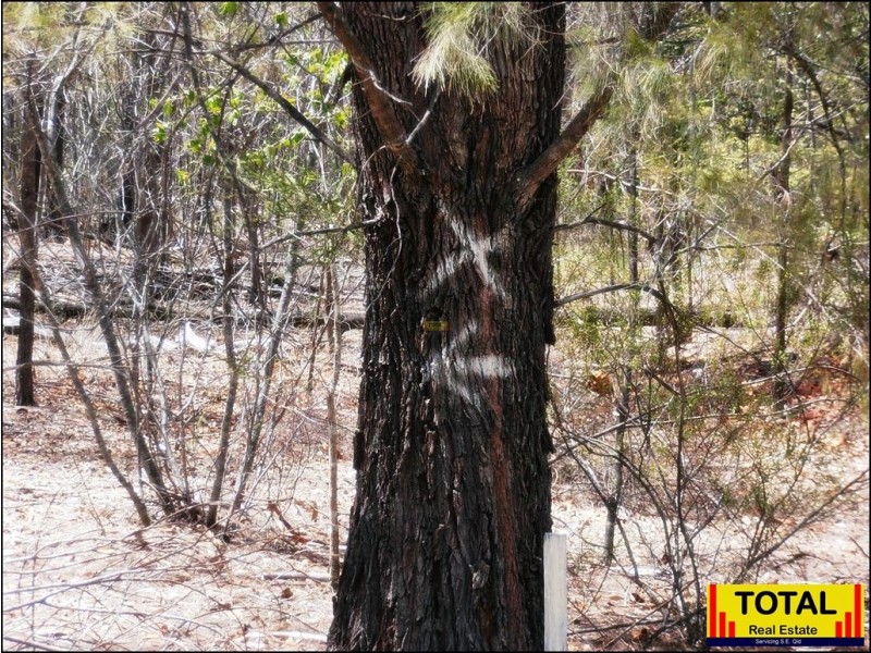 33 Cabbage Gum, Millmerran Woods QLD 4357