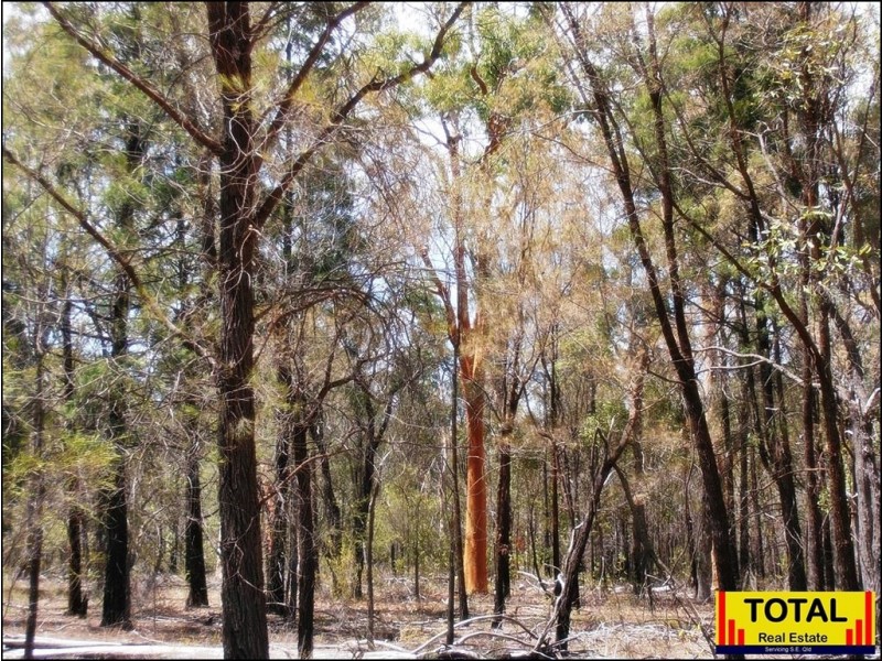 33 Cabbage Gum, Millmerran Woods QLD 4357